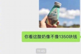 龙沙融资清欠服务